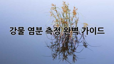 강물 염분 측정 완벽 가이드