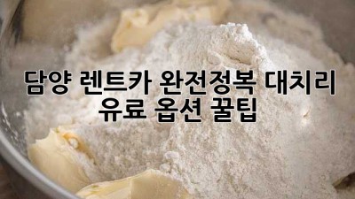 담양 렌트카 완전정복! 대치리 유료 옵션 꿀팁 🚗💨